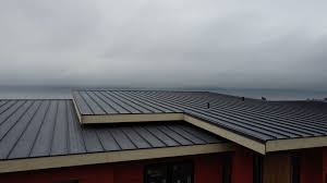 Best Rubber Roofing (EPDM, TPO)  in Louisburg, KS